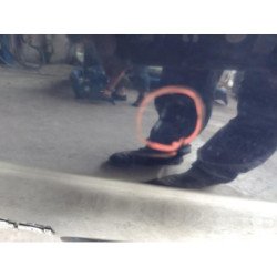Malle/hayon Arriere Citroen Xsara Picasso Phase 1 (6)